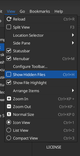 Show hidden files